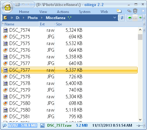 oMega Commander Features. Quick selection of a file group with the same extension (Alt-+).